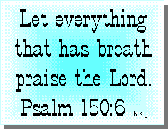 Let Everthing That Has Breath Praise The Lord